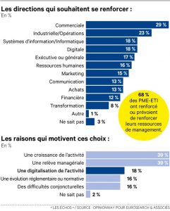 Dirigeants numérique étude