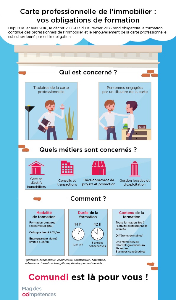 Infographie_Carte-professionnelle-immobilier