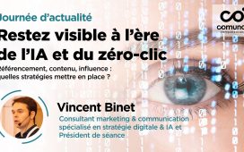 Vincent Binet, Consultant marketing et communication