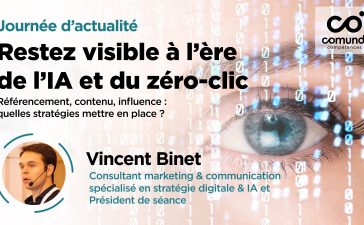 Vincent Binet, Consultant marketing et communication