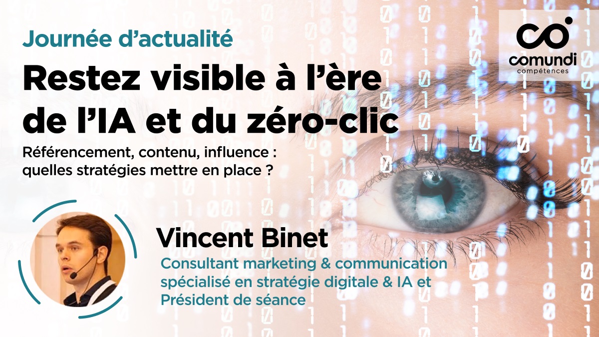 Vincent Binet, Consultant marketing et communication