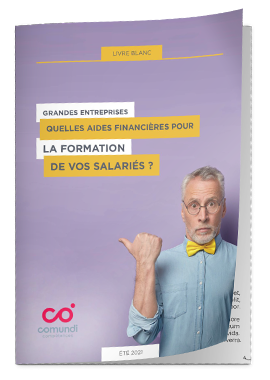 Livre blanc - Financement Grande entreprise